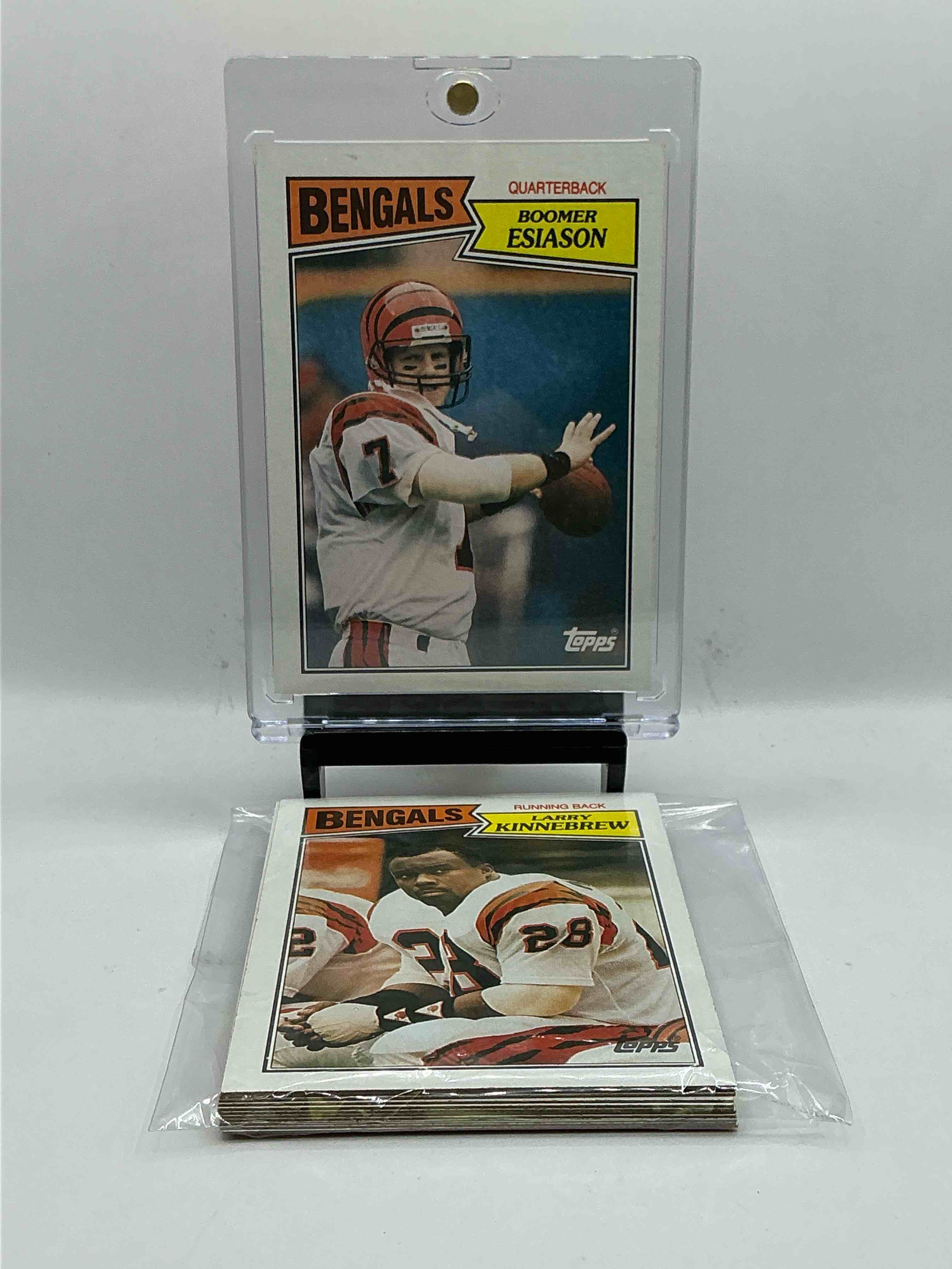 Collector’s Dream! Pokémon, Sports Cards, Gold & More!