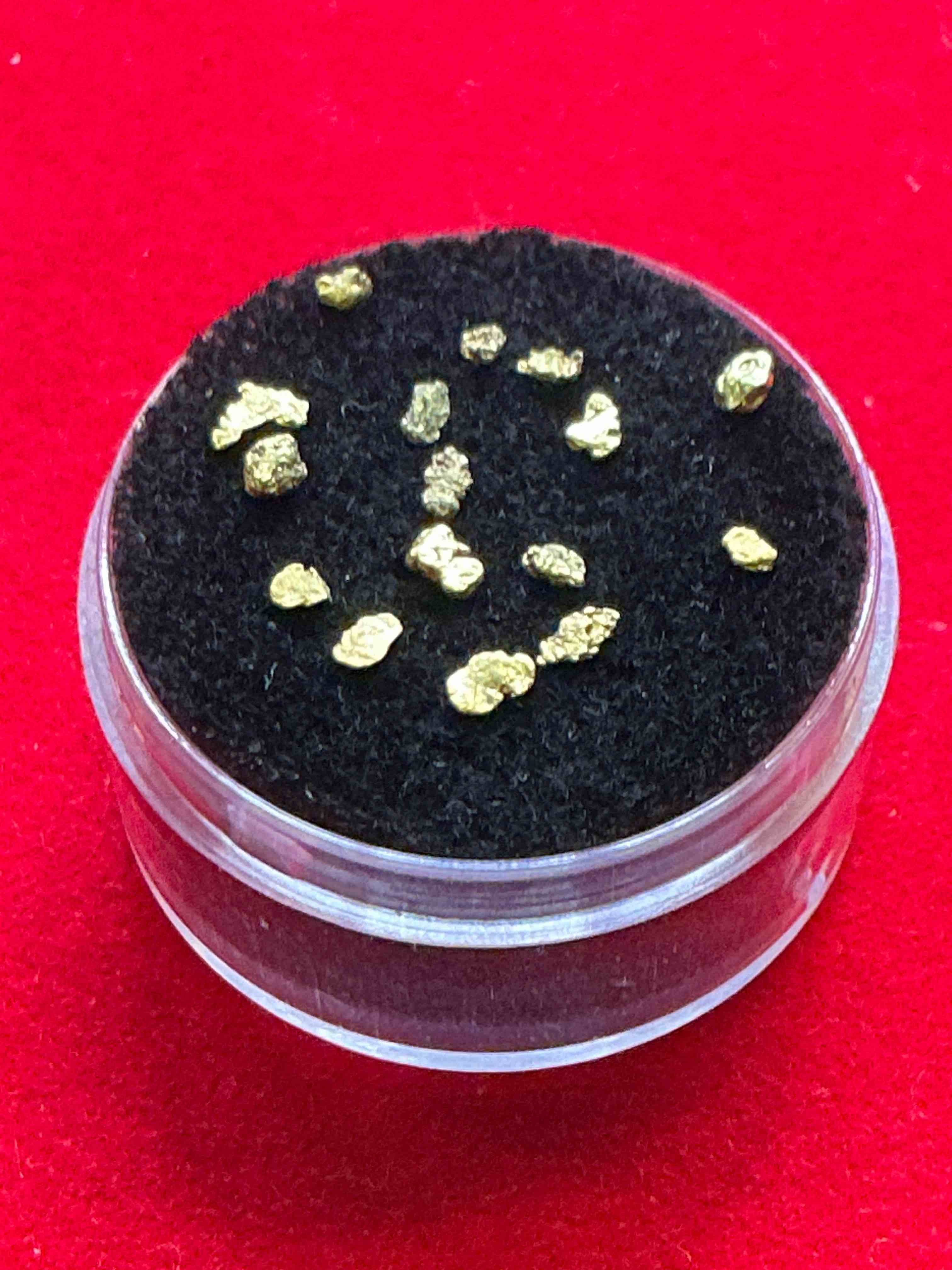 Collector’s Dream! Pokémon, Sports Cards, Gold & More!