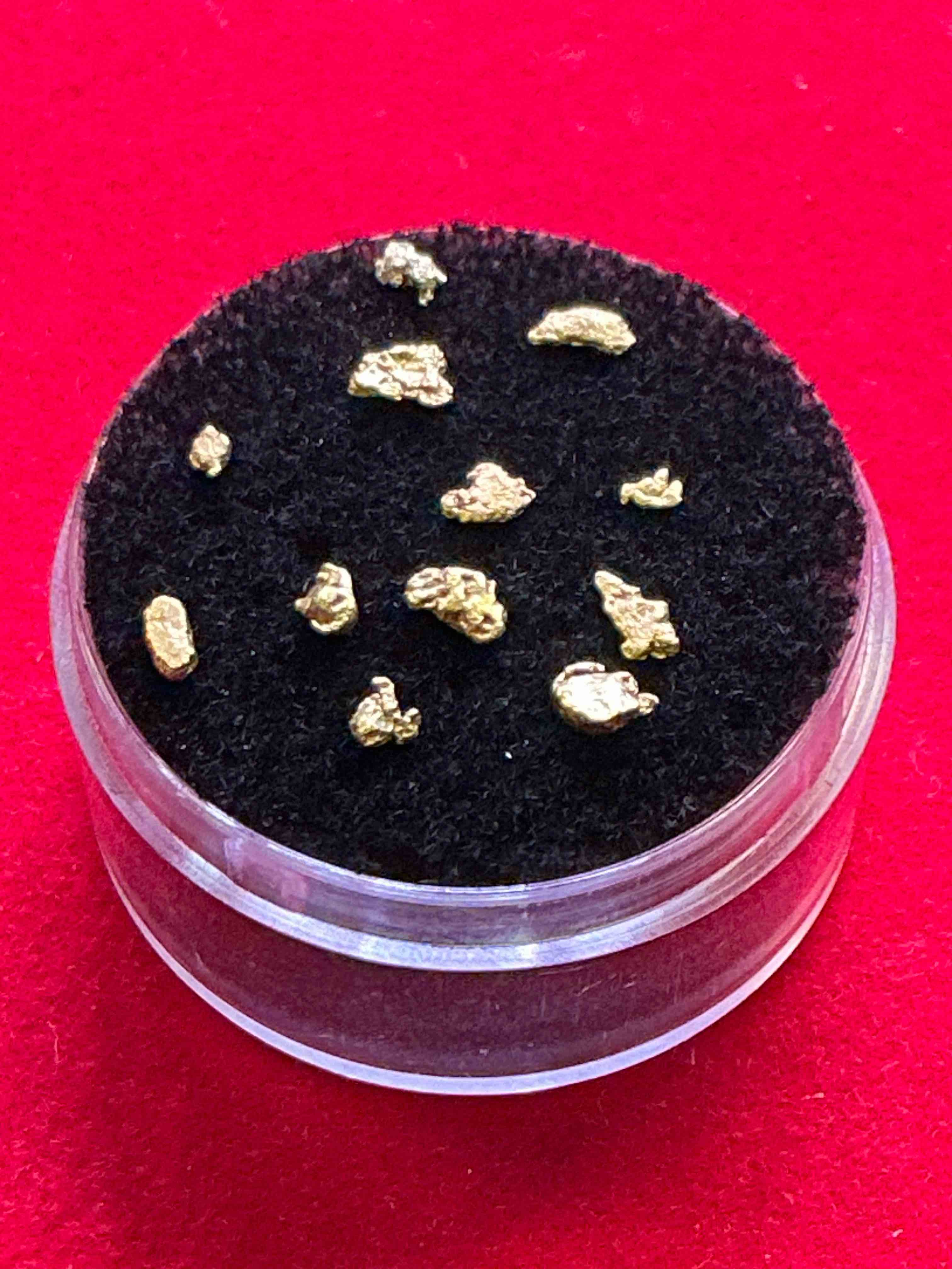 Collector’s Dream! Pokémon, Sports Cards, Gold & More!