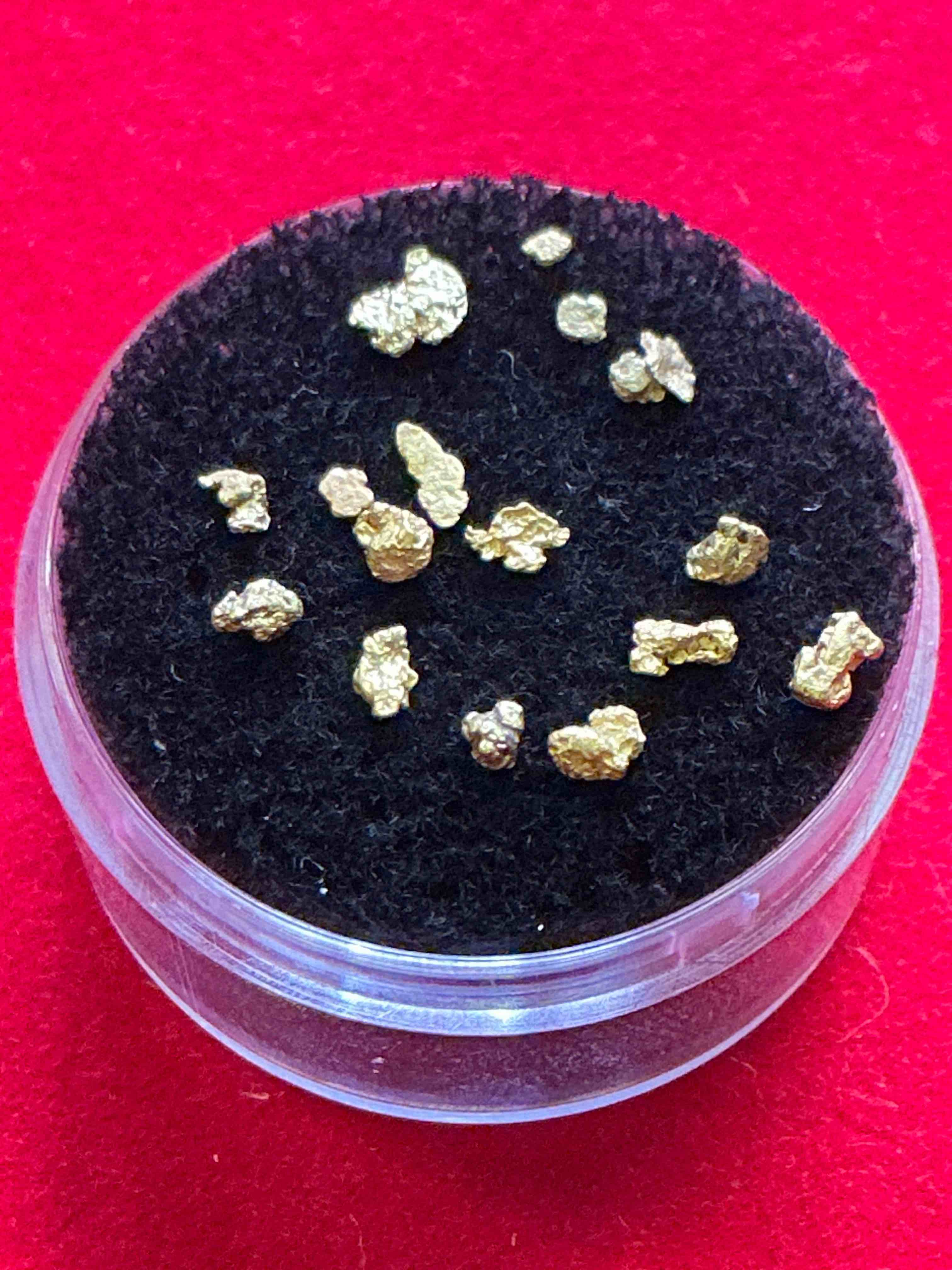 Collector’s Dream! Pokémon, Sports Cards, Gold & More!