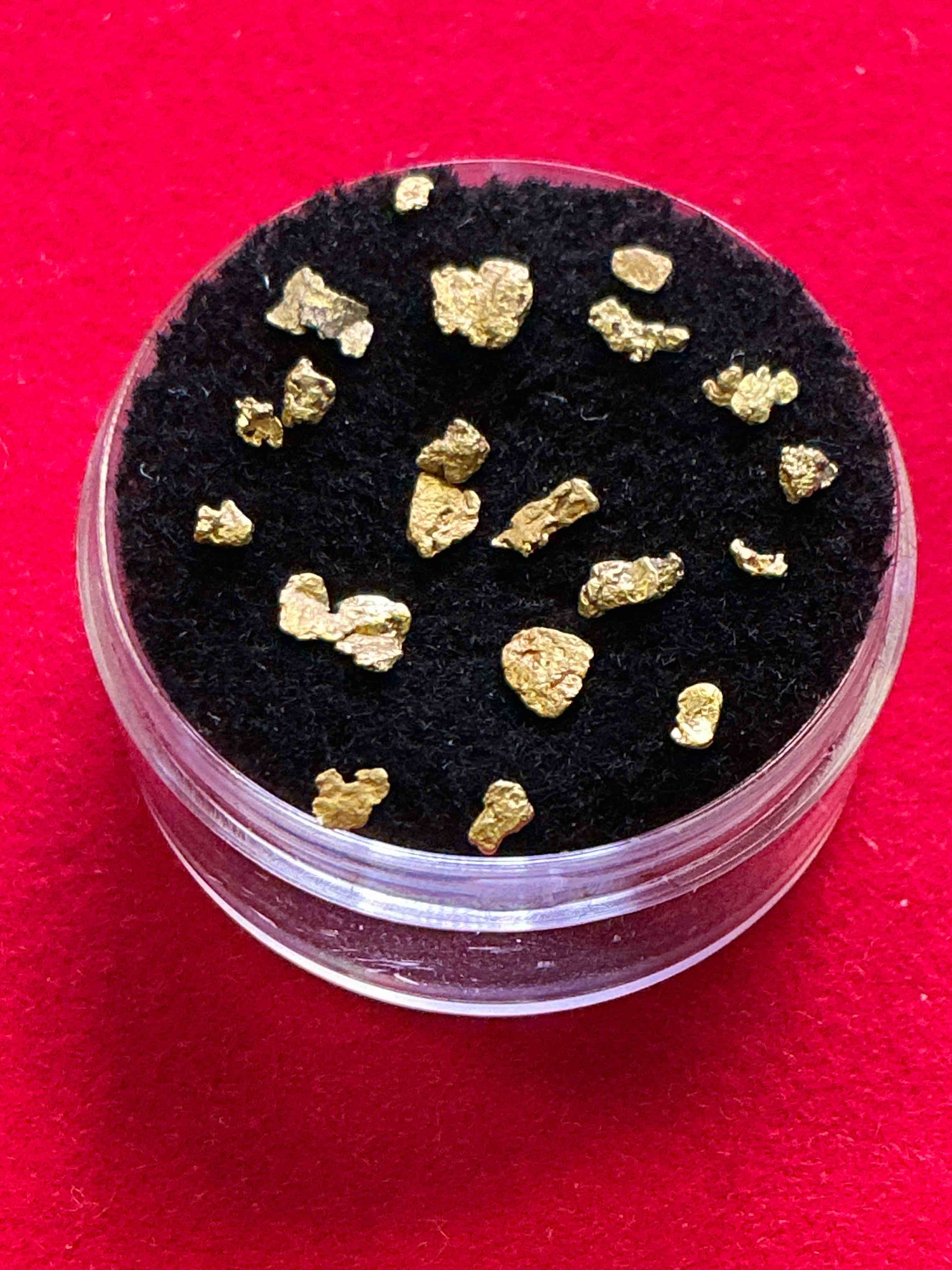 Collector’s Dream! Pokémon, Sports Cards, Gold & More!