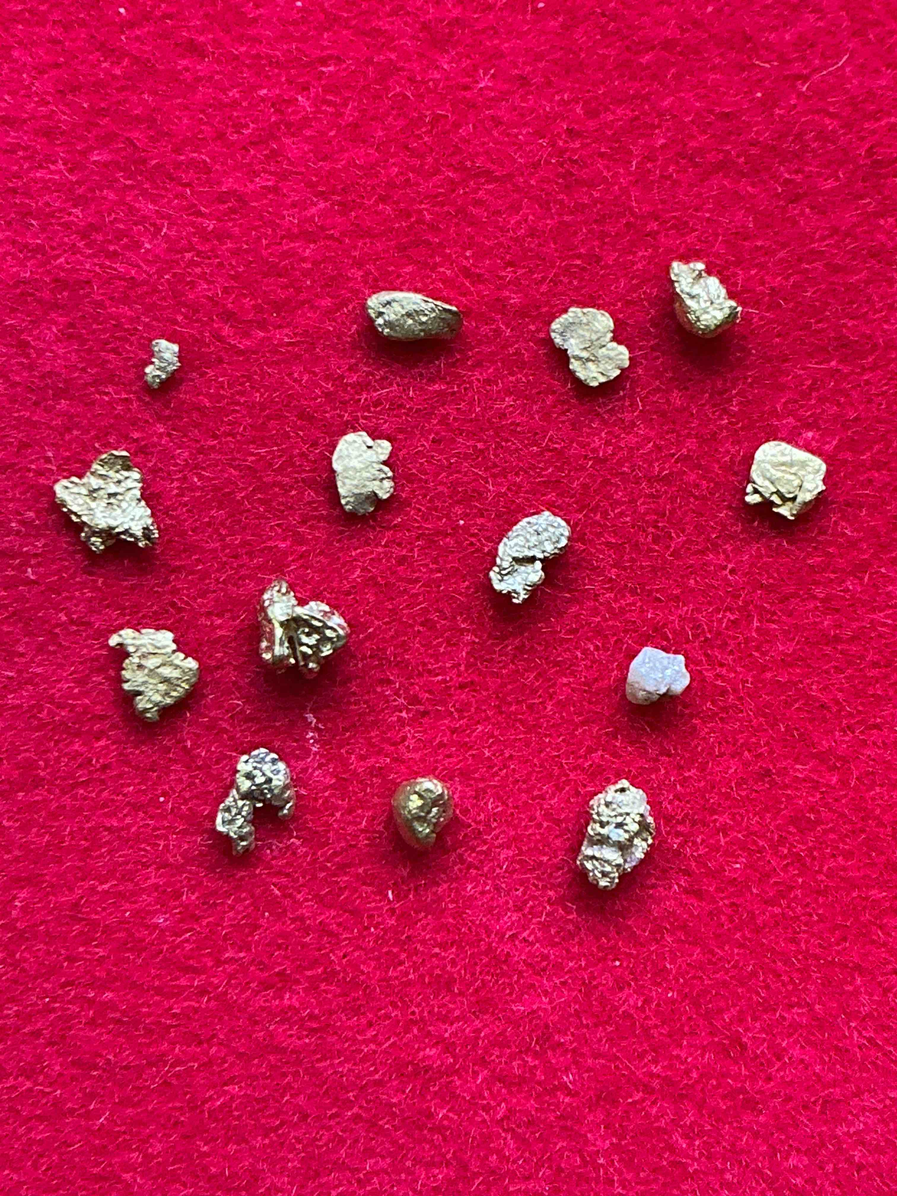 Collector's Dream! Pokémon, Sports Cards, Gold & More!