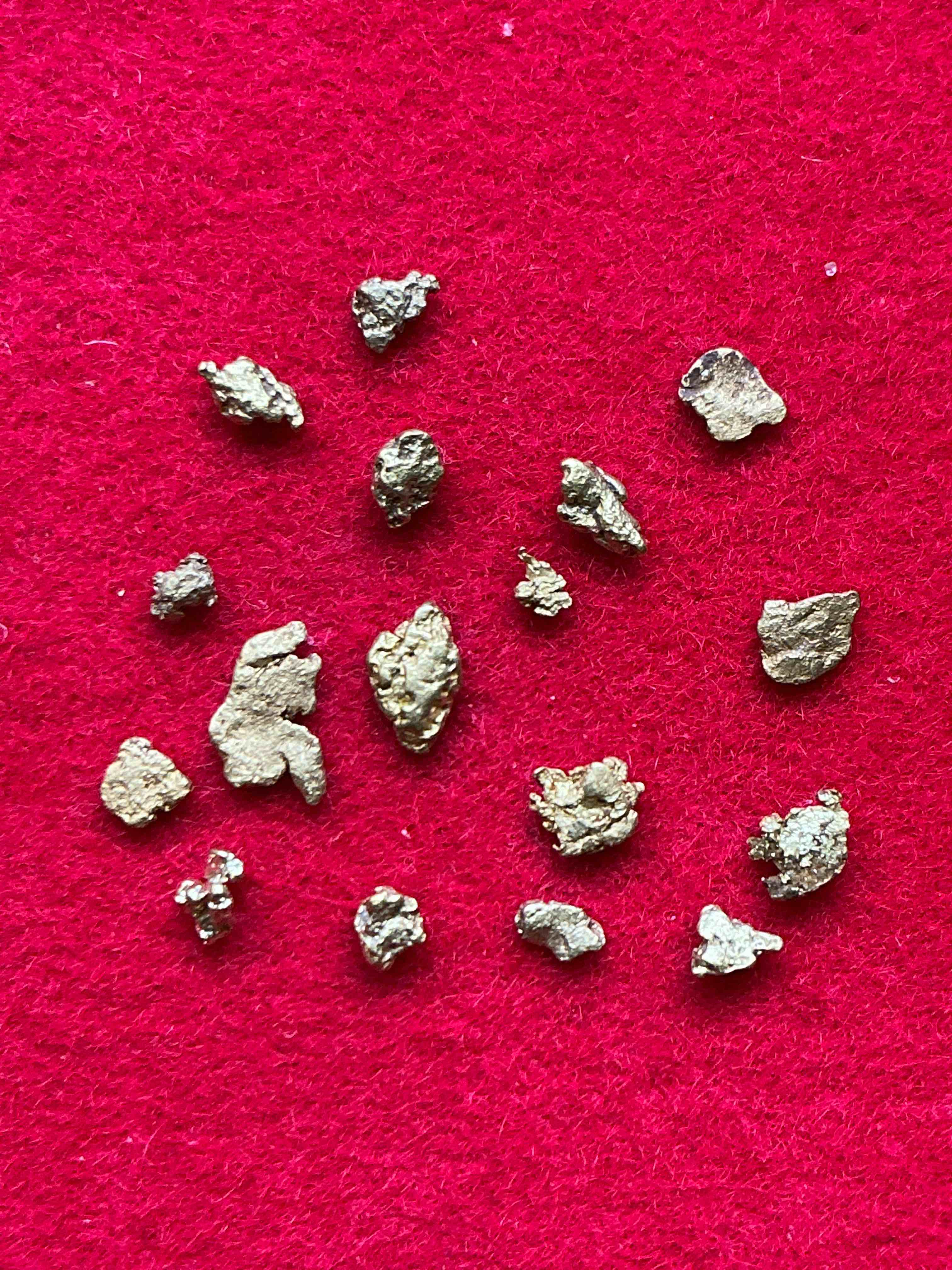 Collector’s Dream! Pokémon, Sports Cards, Gold & More!