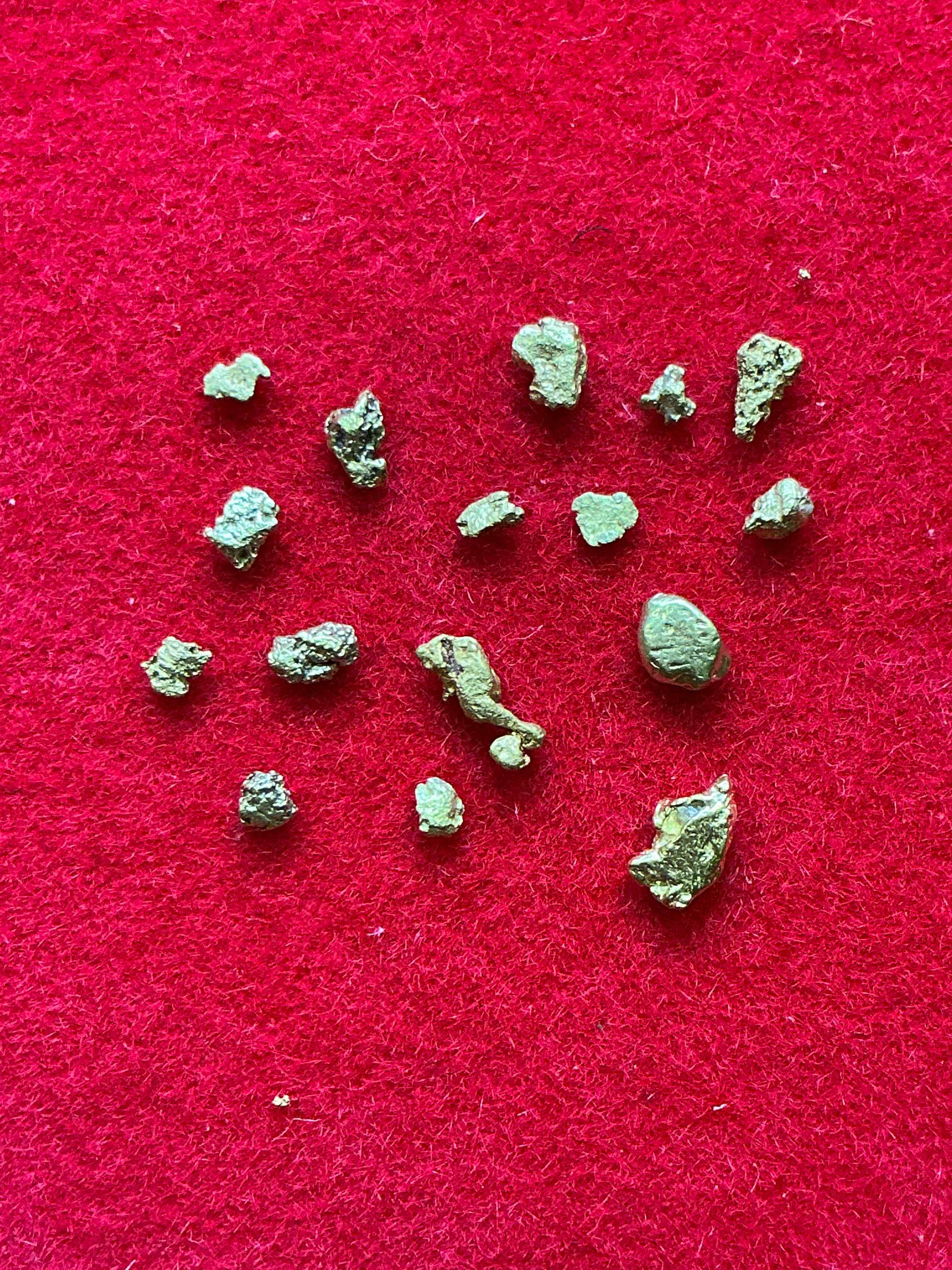 Collector’s Dream! Pokémon, Sports Cards, Gold & More!