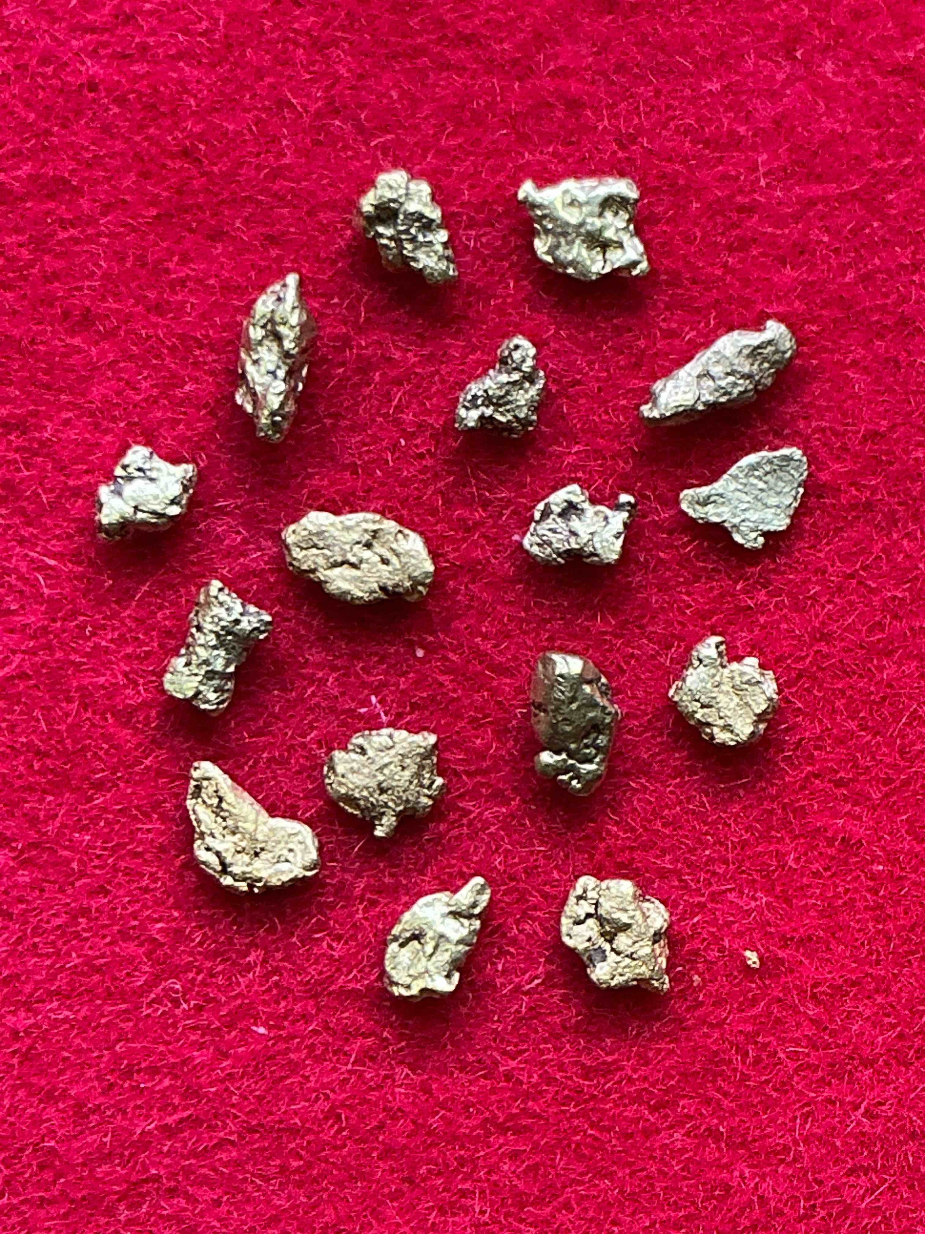 Collector’s Dream! Pokémon, Sports Cards, Gold & More!