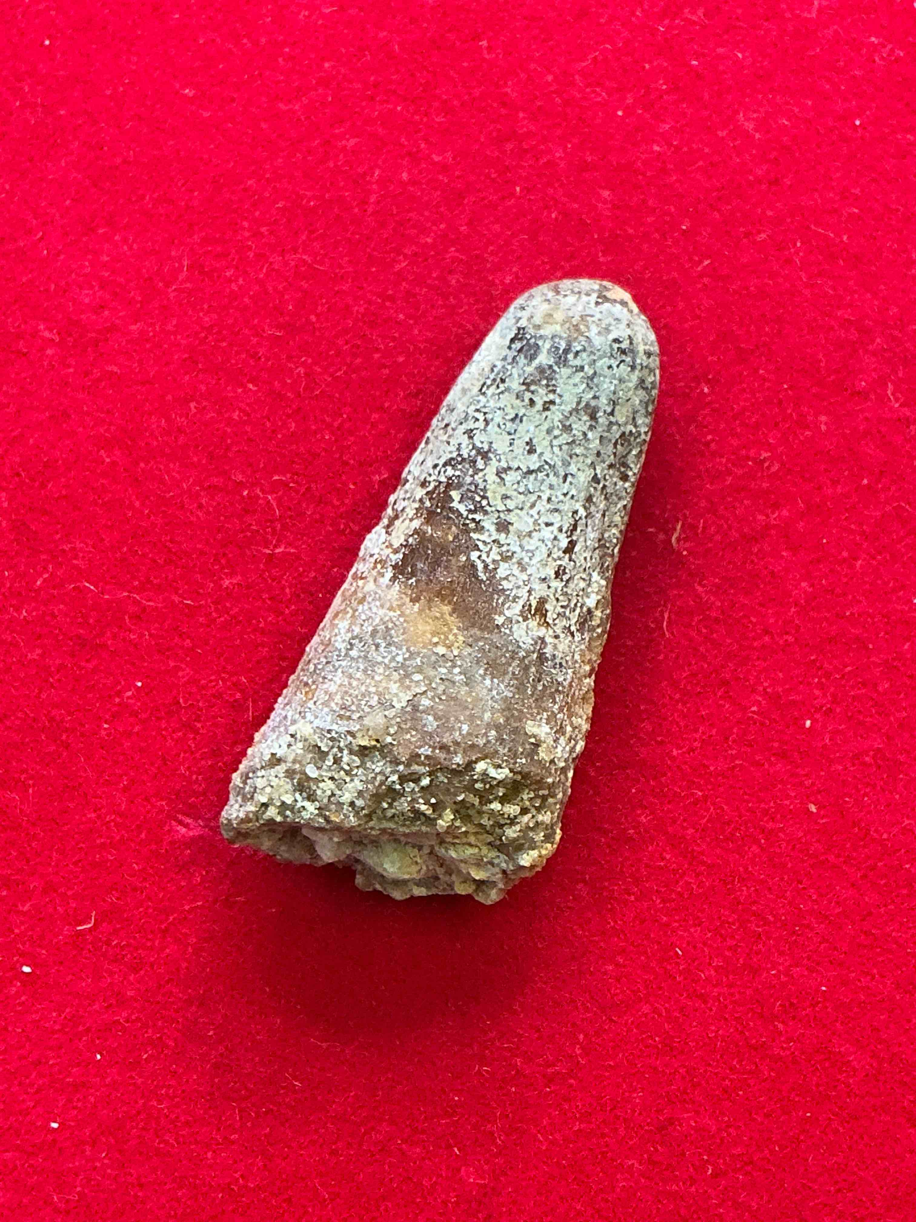 Collector's Dream! Pokémon, Sports Cards, Coins & More!