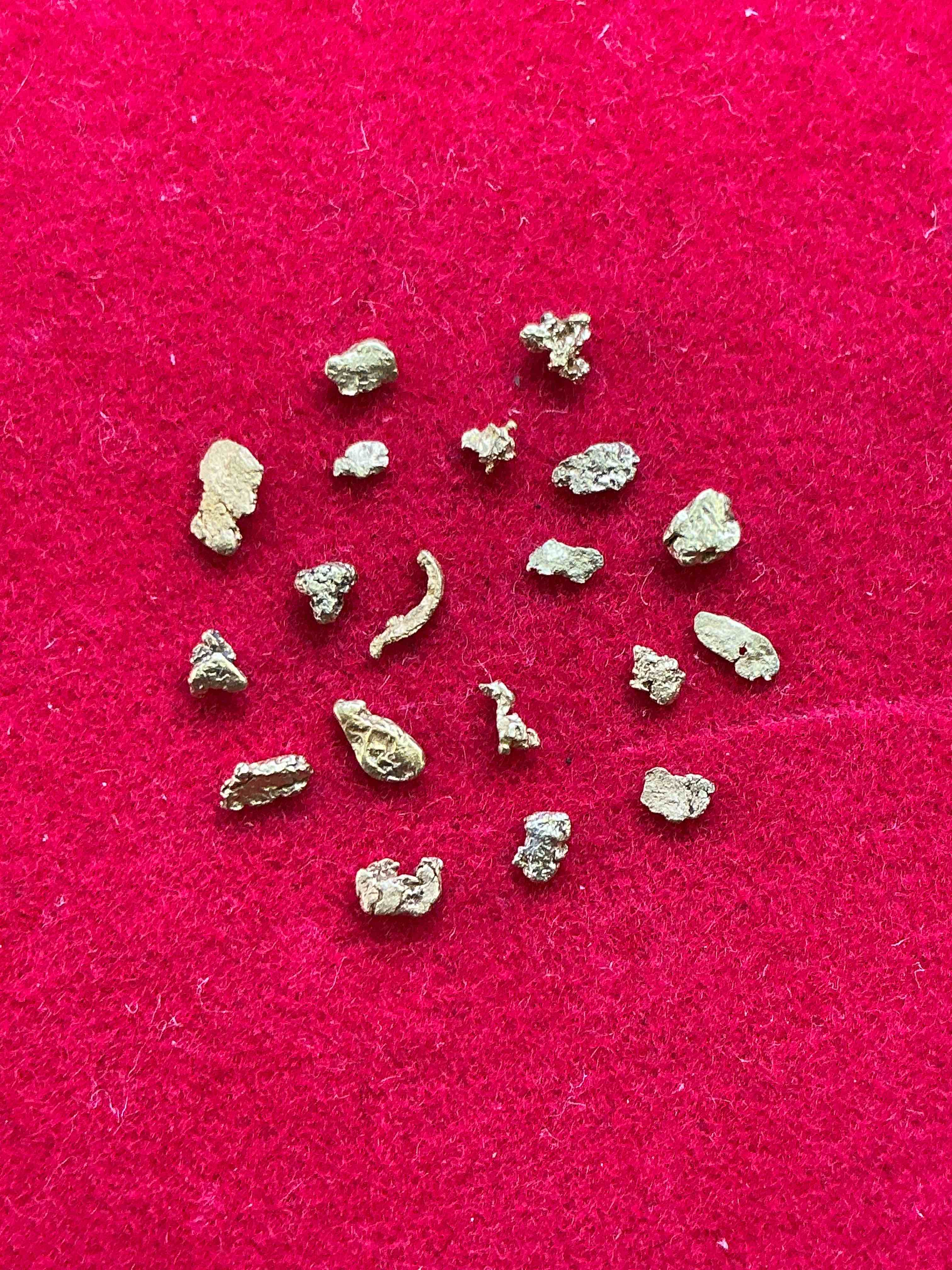 Genuine Gold Nuggets! Gold Nuggets Fresh From Prospecting North Carolina Mountains, Total Weight Of All Nuggets Is Approximately .5 Grams. These Gold Nuggets Typically Test At Between Approx 22-24 Karat. Gold In Raw, Prospected Form Is Extremely Hard To Find & Much Rarer Than Any Refined Form. Get In On The Gold Craze... Gold Has Increased In Value Over 40% In 2025 Alone! U.S. Dime For Size Reference Only (not included). Gold Vile In Image Included. Own Genuine, Gold Nuggets! 