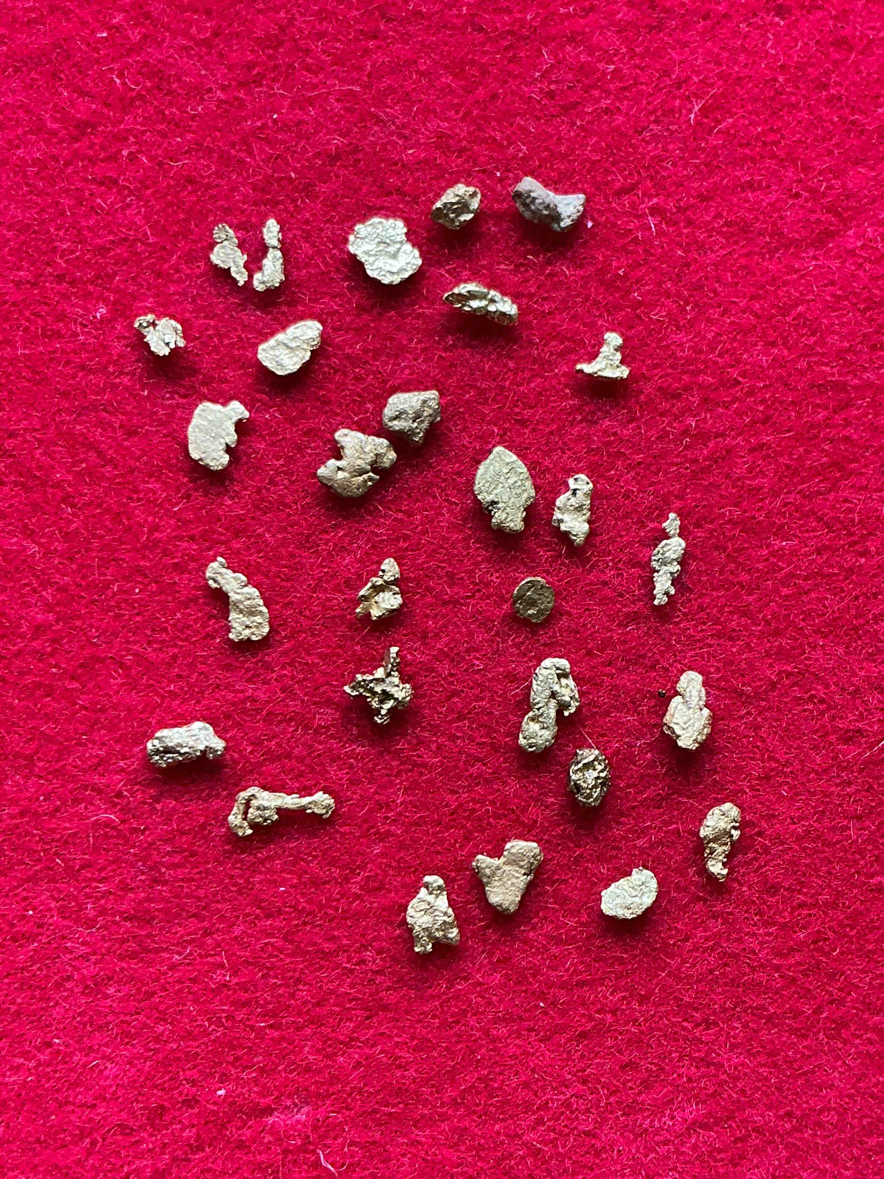 Collector’s Dream! Pokémon, Sports Cards, Gold & More!