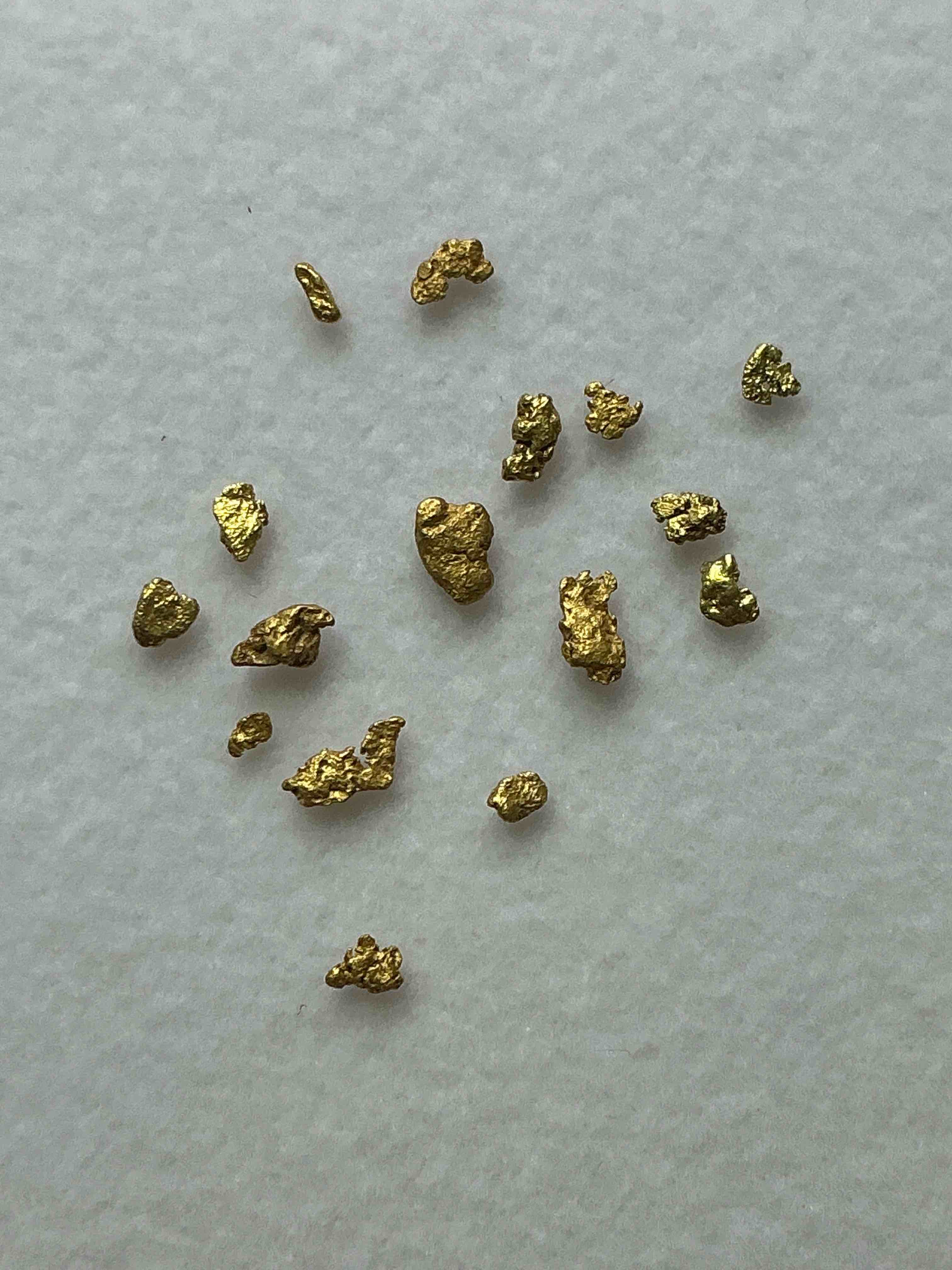 Collector's Dream! Pokémon, Sports Cards, Gold & More!