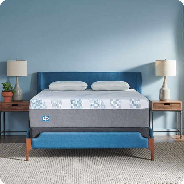 Sealy Dreamlife 14" Soft Hybrid Mattress, King 