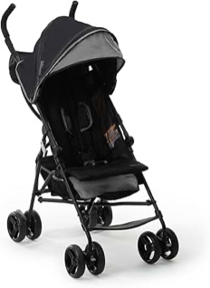 Ingenuity 3D Mini Convenience Stroller- Slate