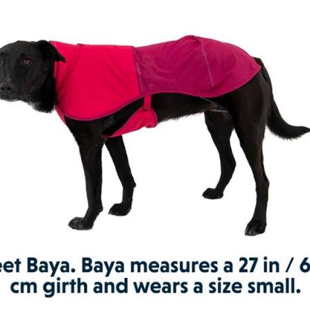 Ruffwear Sun Shower Jacket