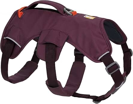 Ruffwear, Web Master, Multi-Use Support Dog Harness, Hiking and Trail Running, Service and Working, Everyday Wear, Purple Rain, Medium