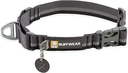 Ruffwear Web Reaction Collar (Granite Gray) Dog Collar