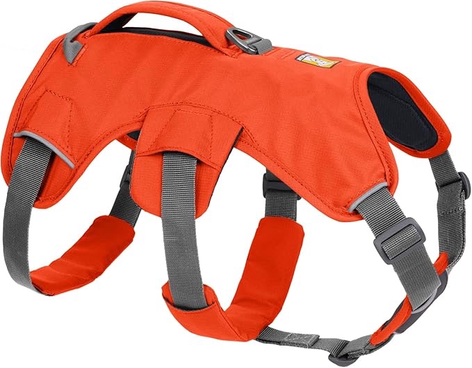 Ruffwear, Web Master, Multi-Use Support Dog Harness, Hiking and Trail Running, Service and Working, Everyday Wear, Blaze Orange, Medium
