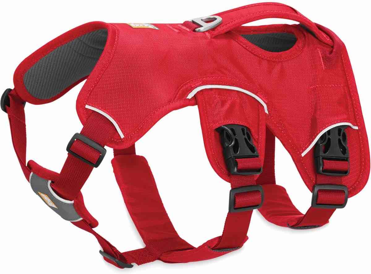 Ruffwear Web Master Dog Harness - Red Currant - L/XL