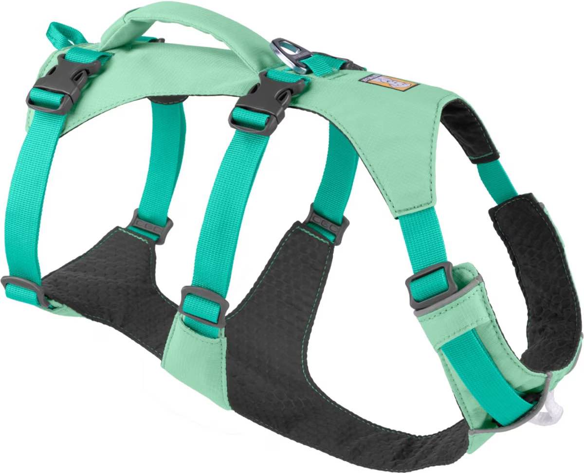 Flagline Dog Harness with Handle Medium / Meltwater Teal 