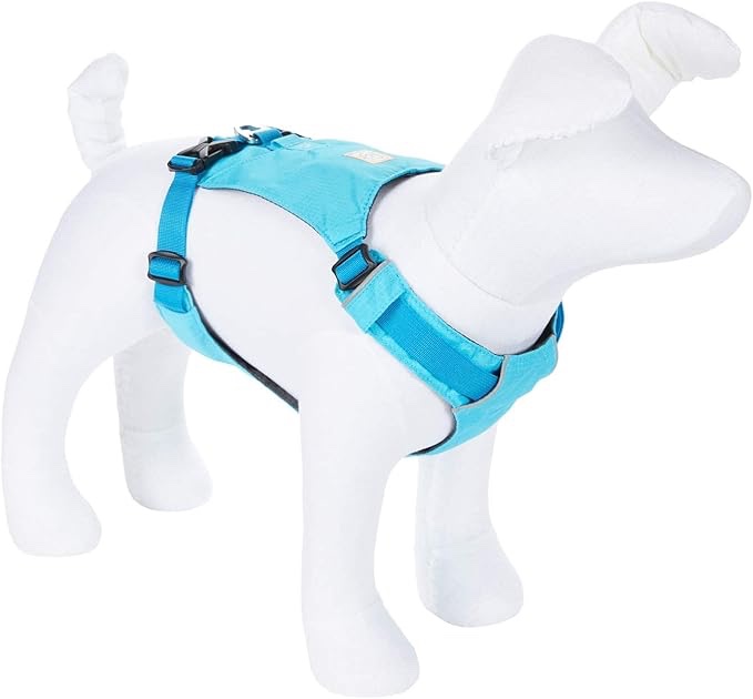 RUFFWEAR  Hi & Light  Everyday Lightweight Dog Harness  Trail Running  Walking  Hiking  All-Day Wear  Blue Atoll  X-Small