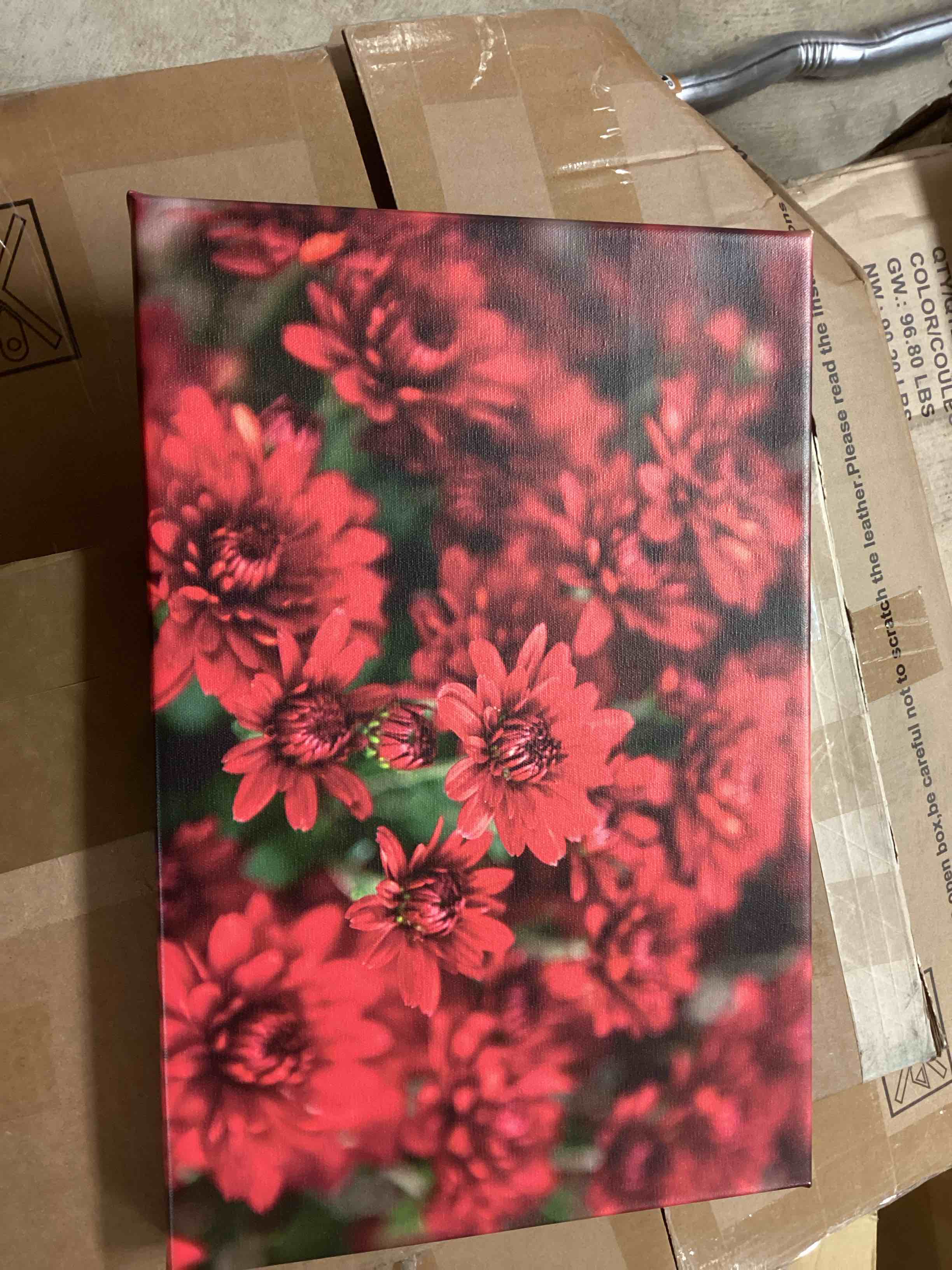 " Red Chrysanthemum Wall art canvas by Magmos 12”*18”
