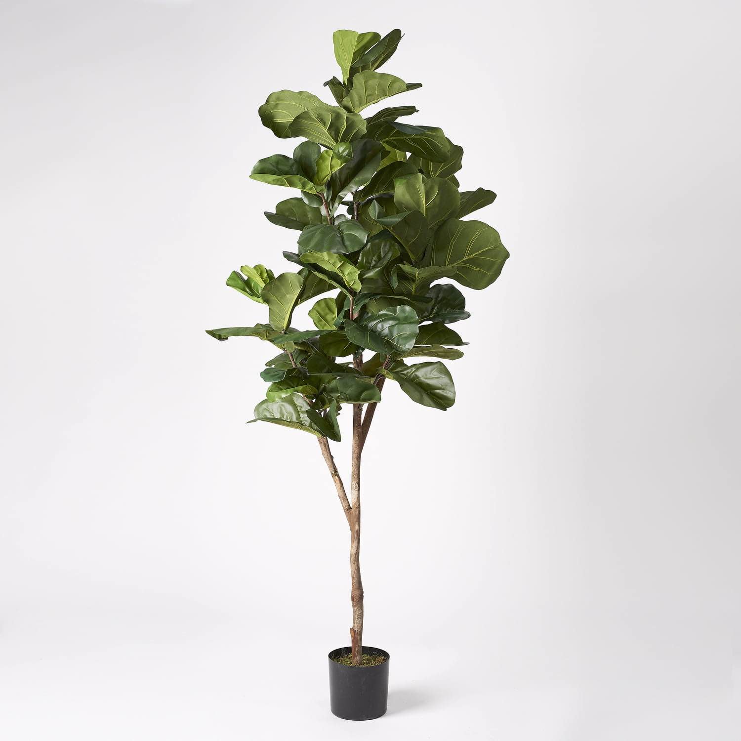 D&W Silks 82.5" Fiddle Leaf Fig Tree in Plastic Pot
