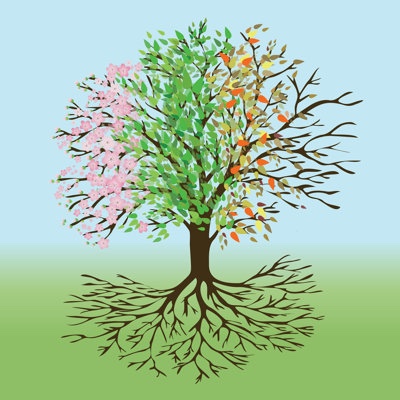 Tree Of Four seasons 