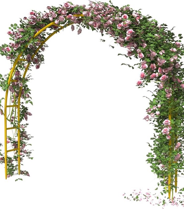 Metal Arch Backdrop Stand