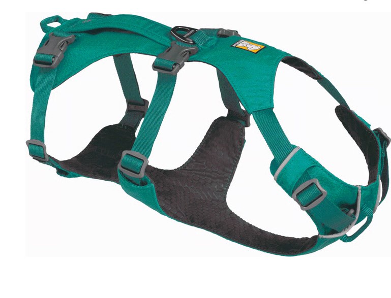 Flagline Dog Harness with Handle Small / Meltwater Teal 