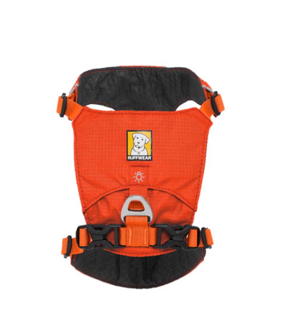 ruffwear   hi & light  dog harness xs sockeye red