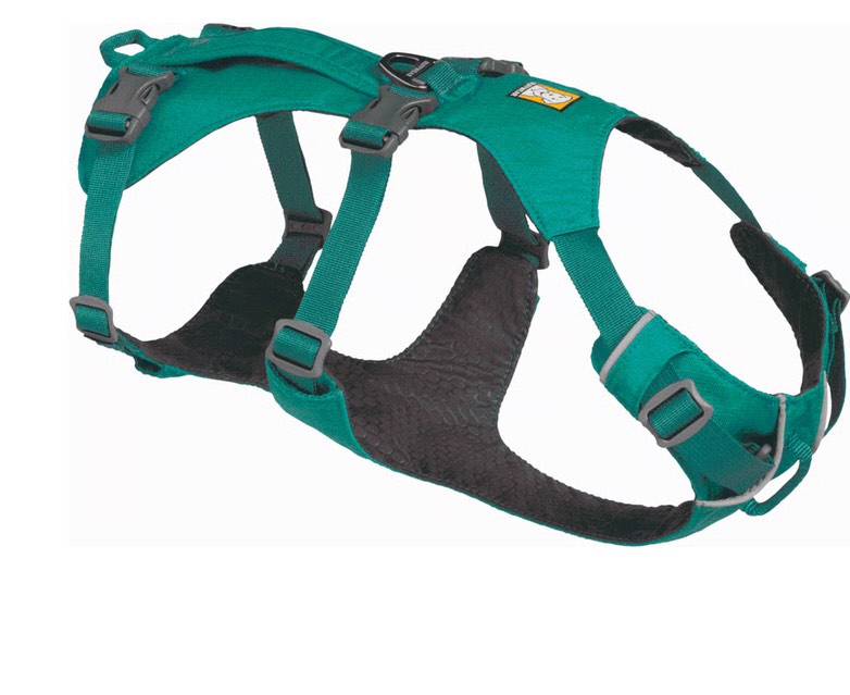 flagline dog harness with handle small / meltwater teal 
