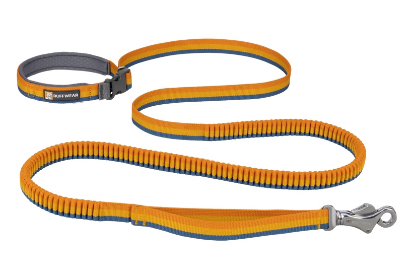 ruffwear roamer bungee dog leash 