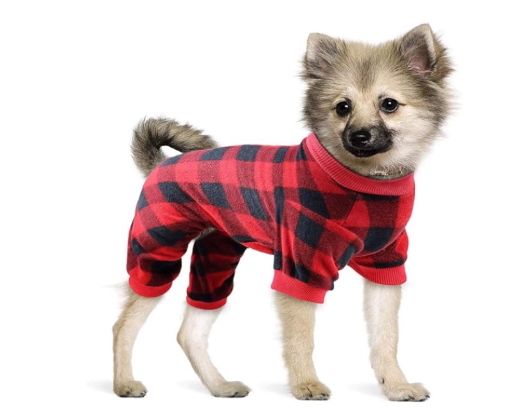Vibrant life pet pajamas medium size, brush with double side, and pet harness for small dogs or cat