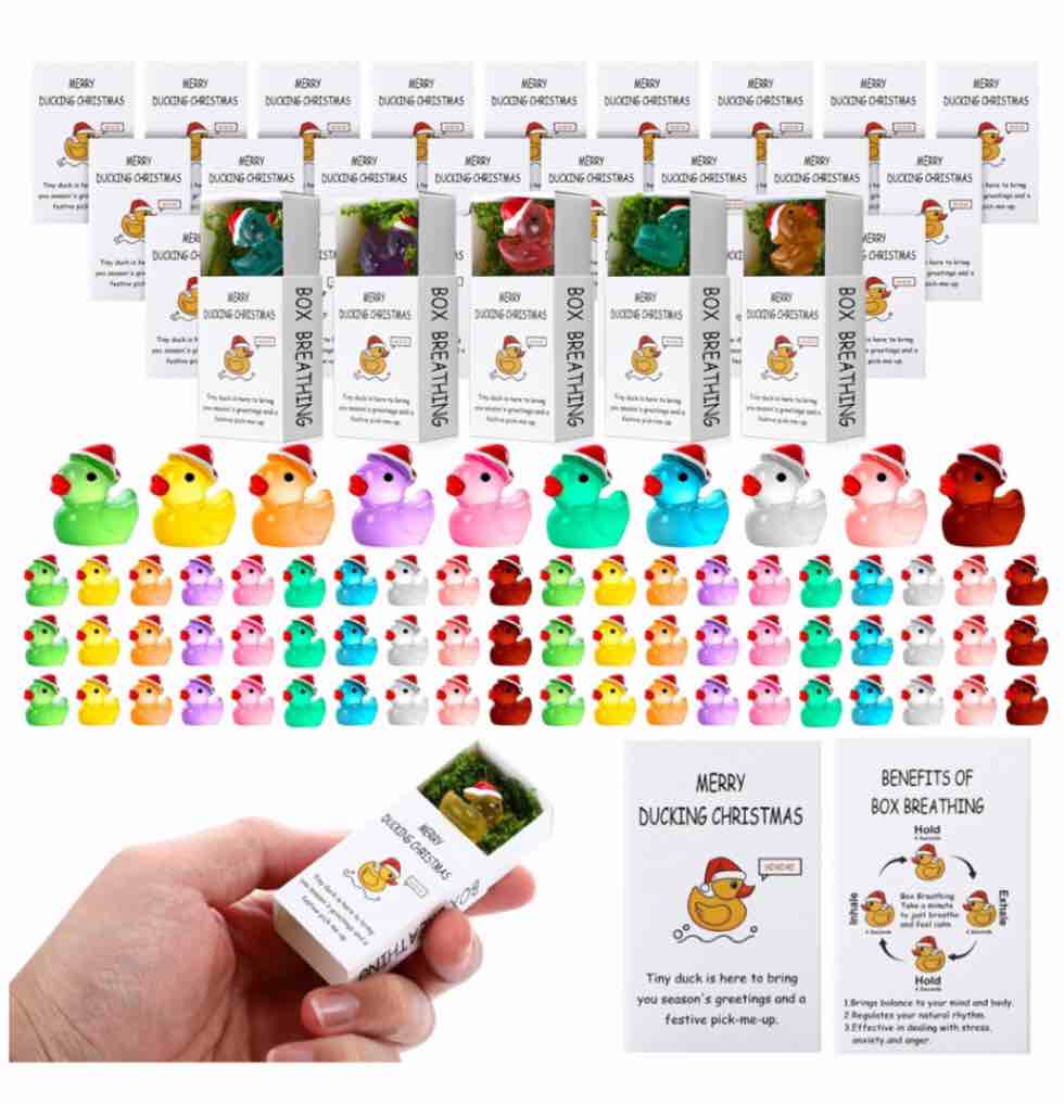 Cinnvoice set of Christmas ducks with fake grass