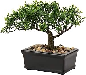 Artificial faux Bonsai home, office, living room, farmhouse decor