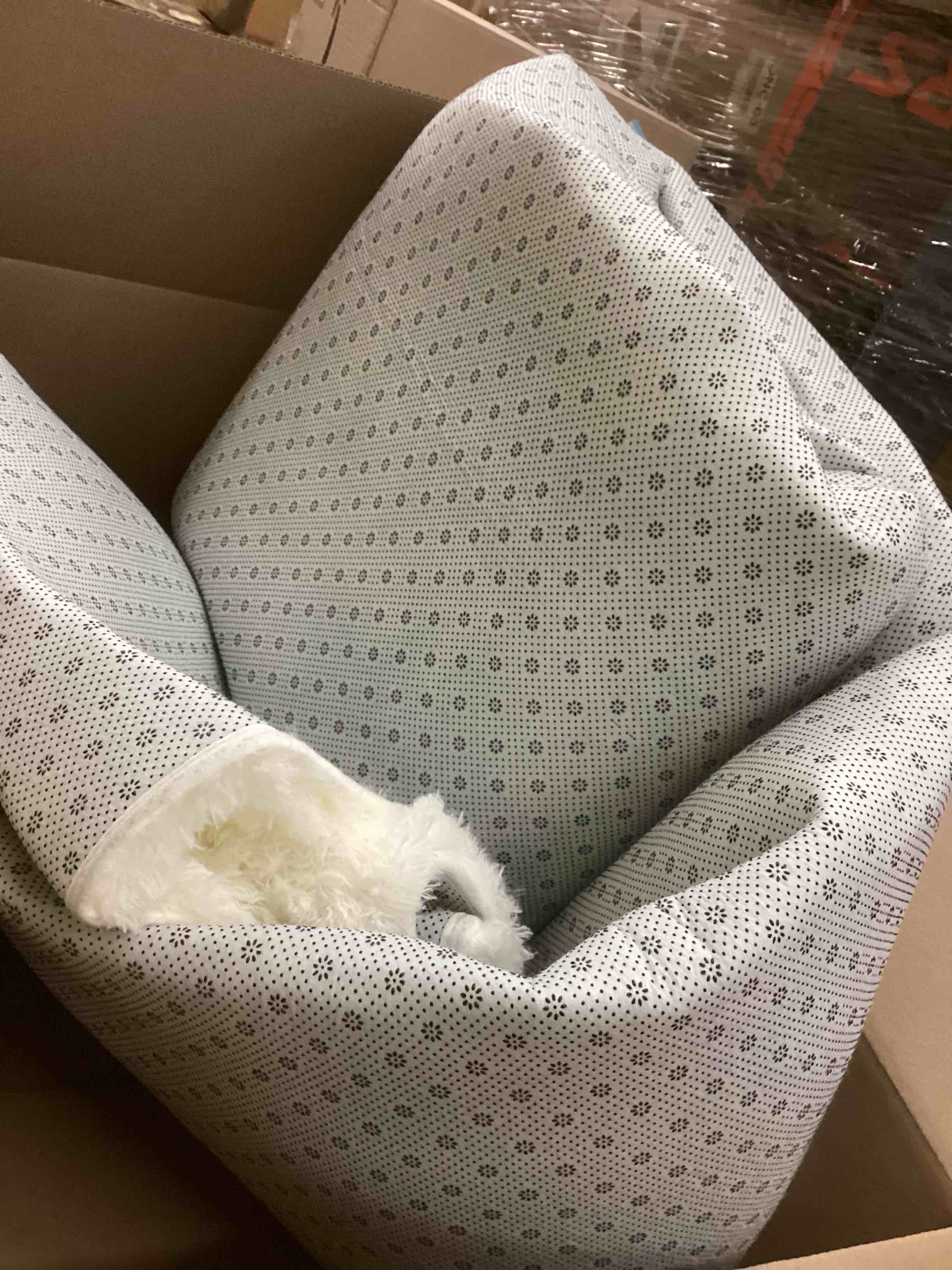 Condition photo showing New/Like New for locus’s area rug 8’ x 10’ ,white 