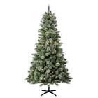 7.5 foot pre-lit liberty cashmere pine Christmas tree