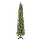  7 foot pre-lit Shelton cashmere fir Christmas tree