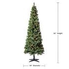7 foot pre-lit Brinkley pine Christmas tree