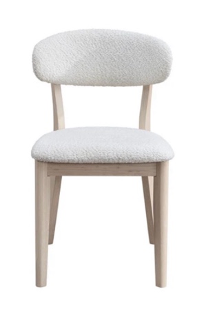 Dining chair  with Upholstered Chairs for Modern Homes ( Similar, only 2 chairs ) 