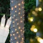 Christmas colum wrap 150 light net lights
