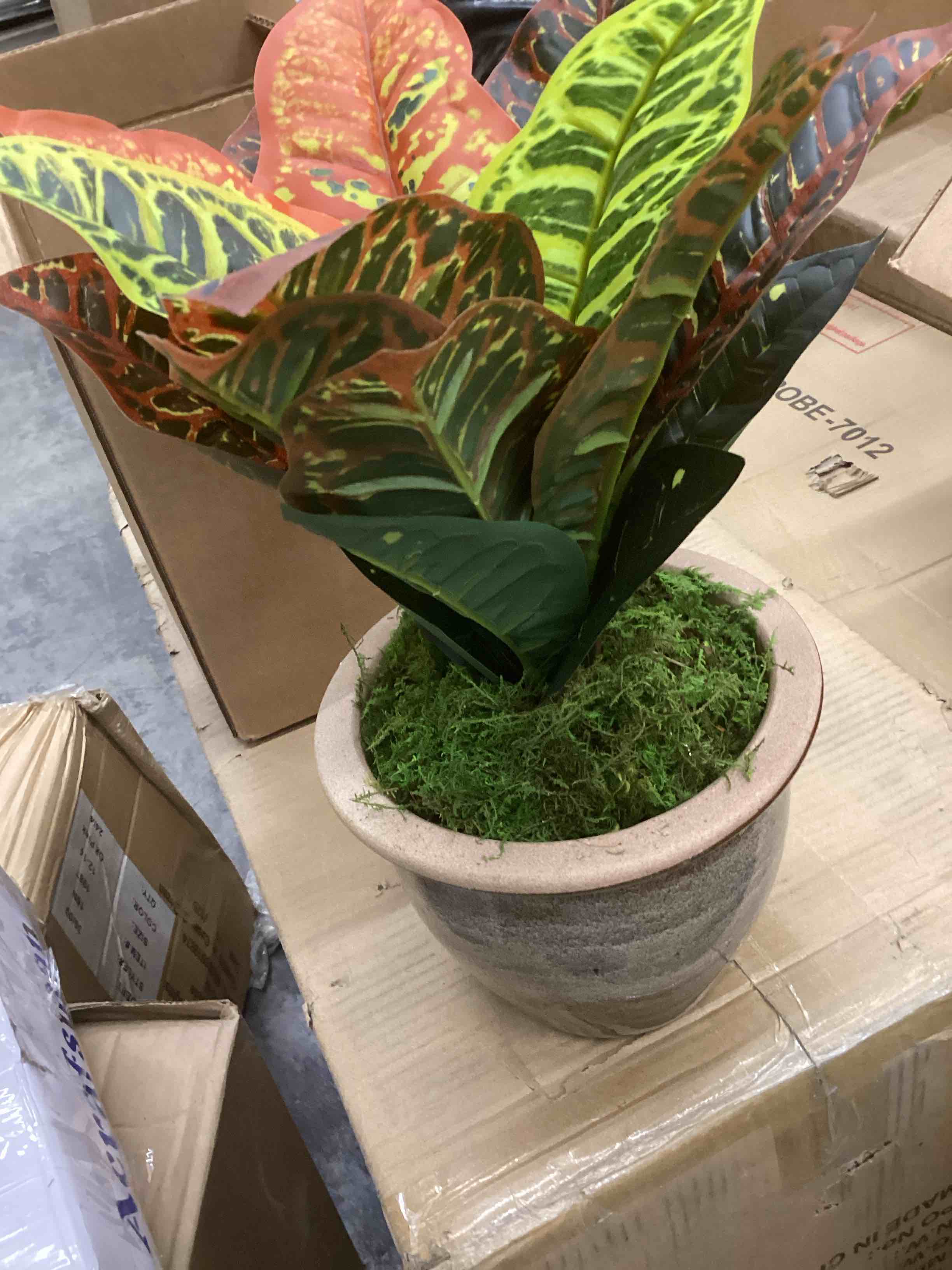 Condition photo showing New/Like New for 15.7" Artificial Croton Real Touch Potted P nt Artificial Indoor Decor, Fake Plants for Home Fa nhouse Table Desk Decorations