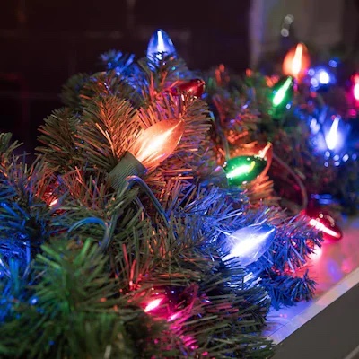 Celebrations Classic LED C9 Multicolored 25 ct String Christmas Lights 24 ft. 1 pk