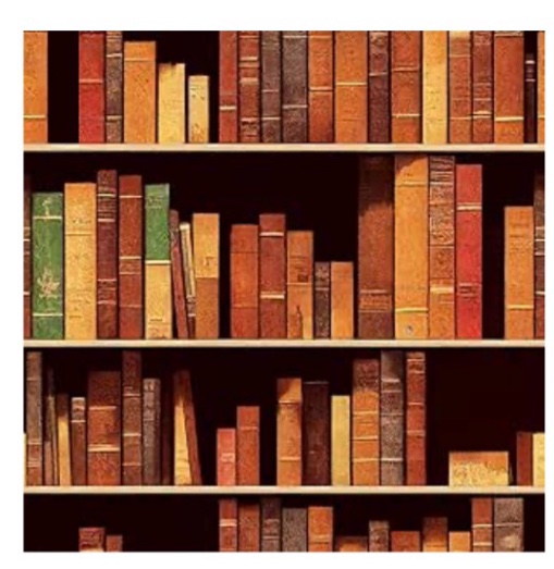  Peel and Stick Canvas Wallpaper Wall Mural Bookshelf ancient moder