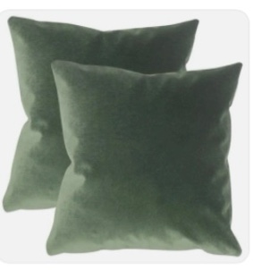 Feather Reversible Throw Pillow Size 20” X 20”