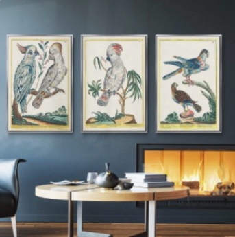 Colerain HOME TREASURES 