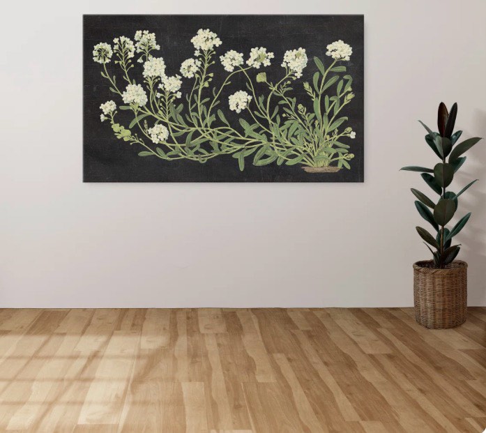 Vintage Flowers on Black" by Wild Apple Portfolio Print on Canvas Size 48” X 34”