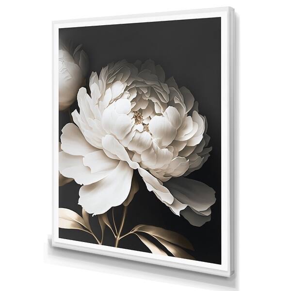 Colerain Home Goods