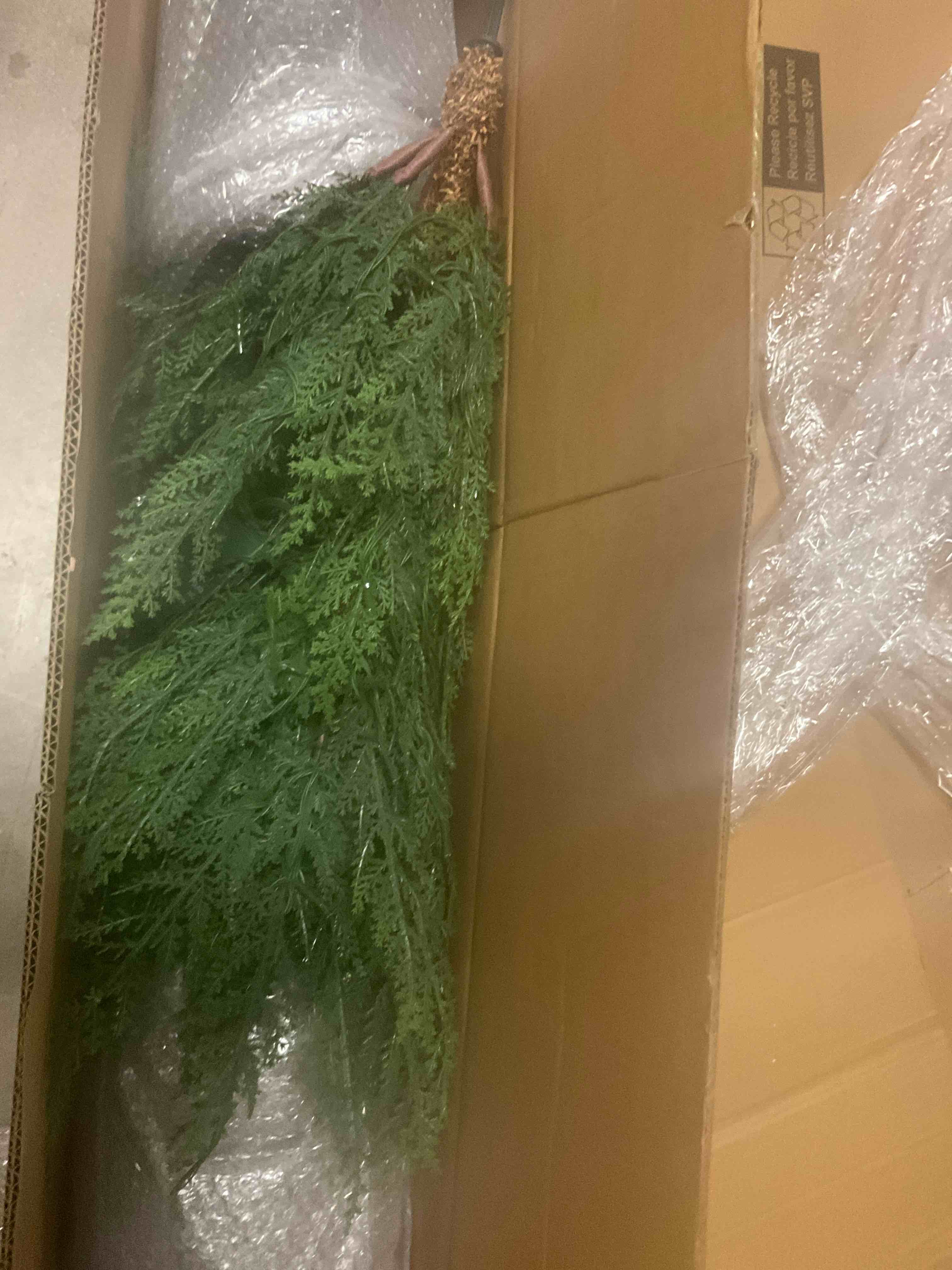 https://s3.amazonaws.com/lotting-images-prod/bidfta/BRN3969101_1777491581942.jpeg