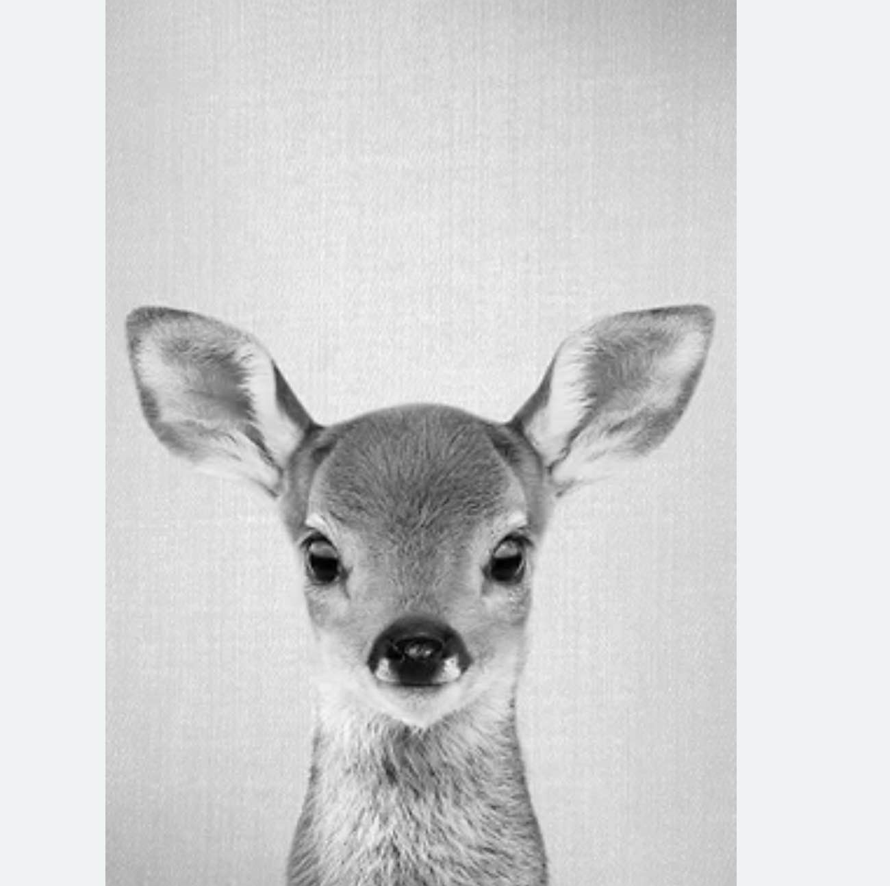 Gal Design Baby Deer Black White Metal Framed Art Print