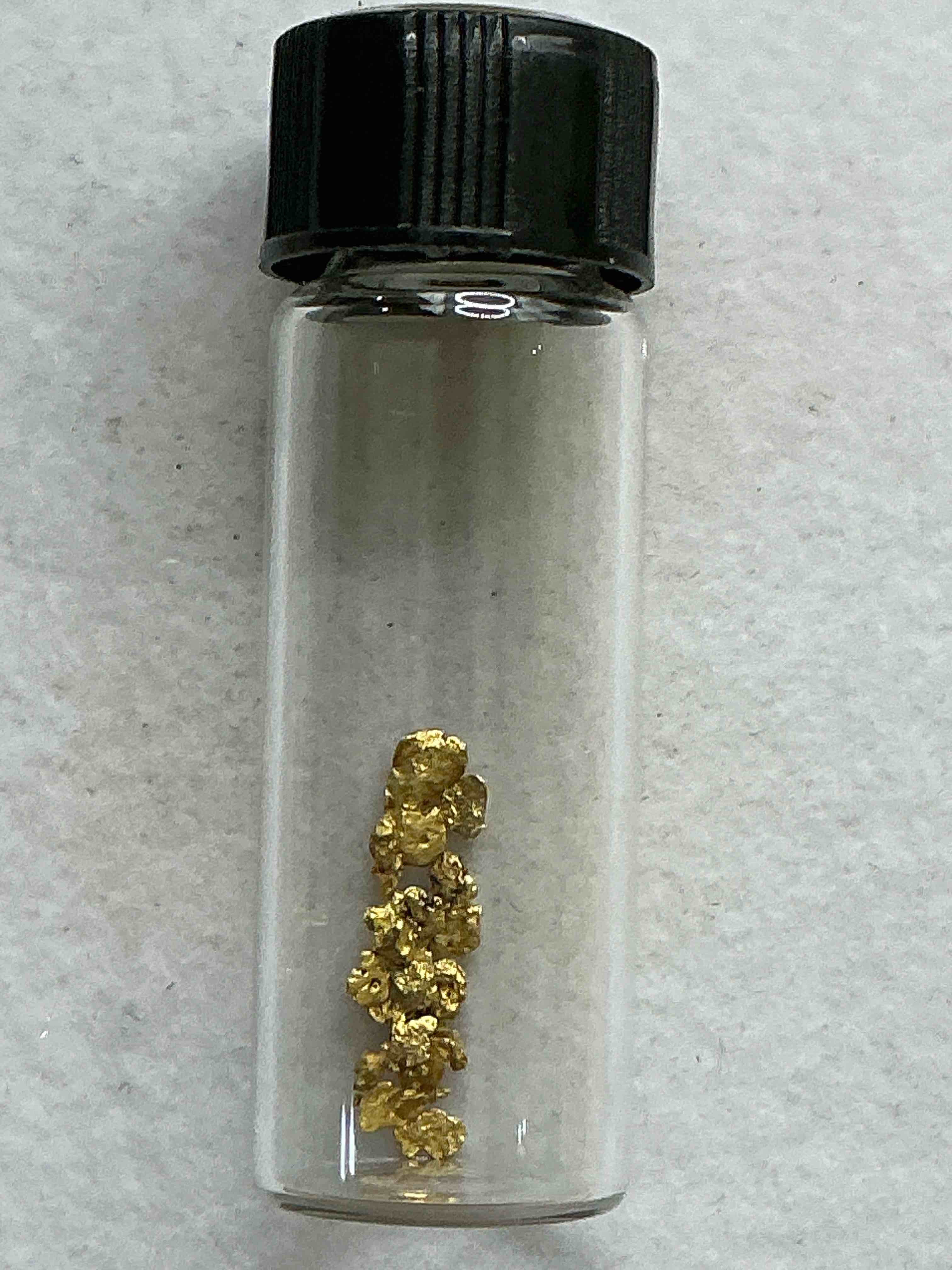 Collector’s Dream! Gold, Silver, Sports Cards, Yi-Gi-Oh, Pokémon & More!