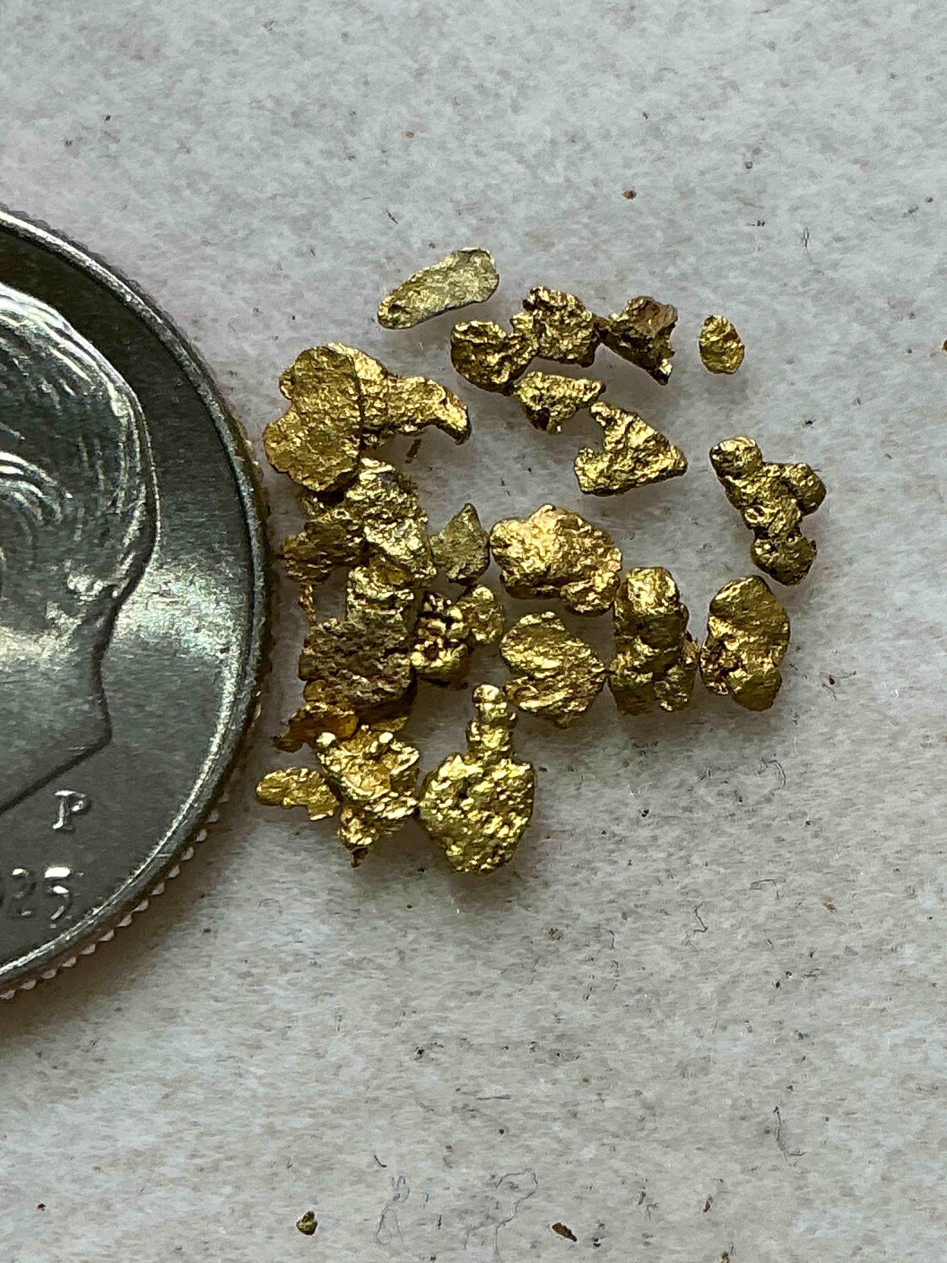 Condition photo showing New/Like New for genuine gold nuggets! gold nuggets fresh from prospecting north carolina mountains, total weight of all nuggets is approximately .5 grams. these gold nuggets typically test at between approx 22-24 karat. gold in raw, prospected form is extremely hard to find & much rarer than any refined form. get in on the gold craze... gold has increased in value over 40% since 2025! u.s. dime for size reference only (not included). gold vile in image included. own genuine, gold nuggets! 